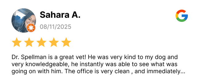 Authentic Google review example demonstrating real customer testimonials and ratings